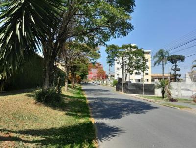 Terreno para Venda, em Curitiba, bairro Porto