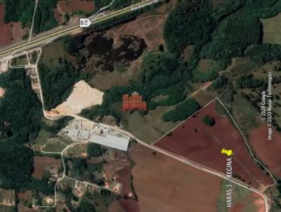 rea para Venda, em So Jos dos Pinhais, bairro Contenda